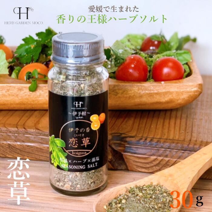 【日本直邮】herbgardenmoco 日本爱媛县特产 恋草 瓶装香草盐 35g