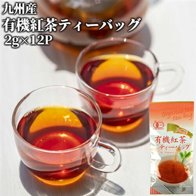【日本直邮】九州有机茶叶袋(2克x 12袋)