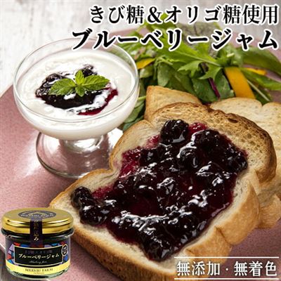 【日本直邮】九州添加剂无糖蓝莓果酱90g