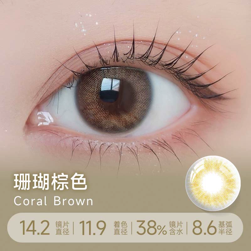 【特价】MOLAK 日抛10枚 珊瑚棕色【350/400/650】